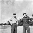      1950